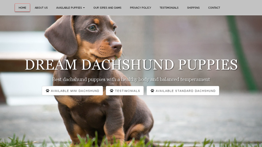 Dreamdachshundpuppies.com - Dachshund Puppy Scam Review