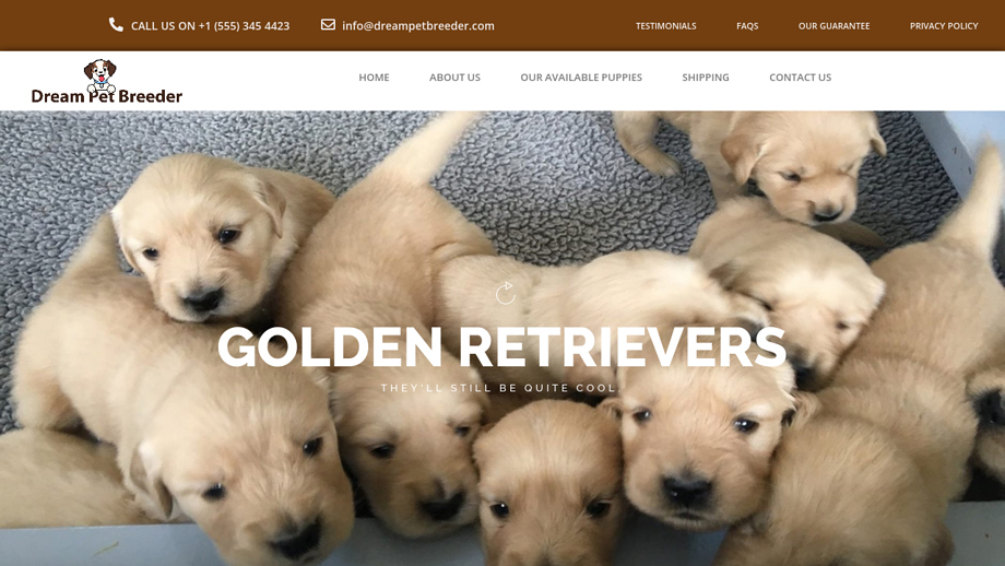 Dreampetbreeder.com - Golden Retriever Puppy Scam Review