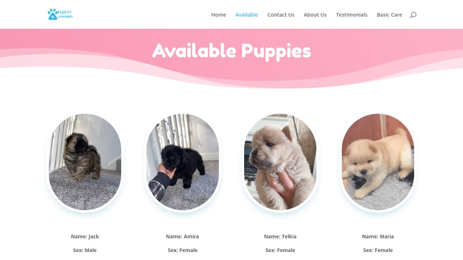 Fluffylemmikki.com - Chowchow Puppy Scam Review