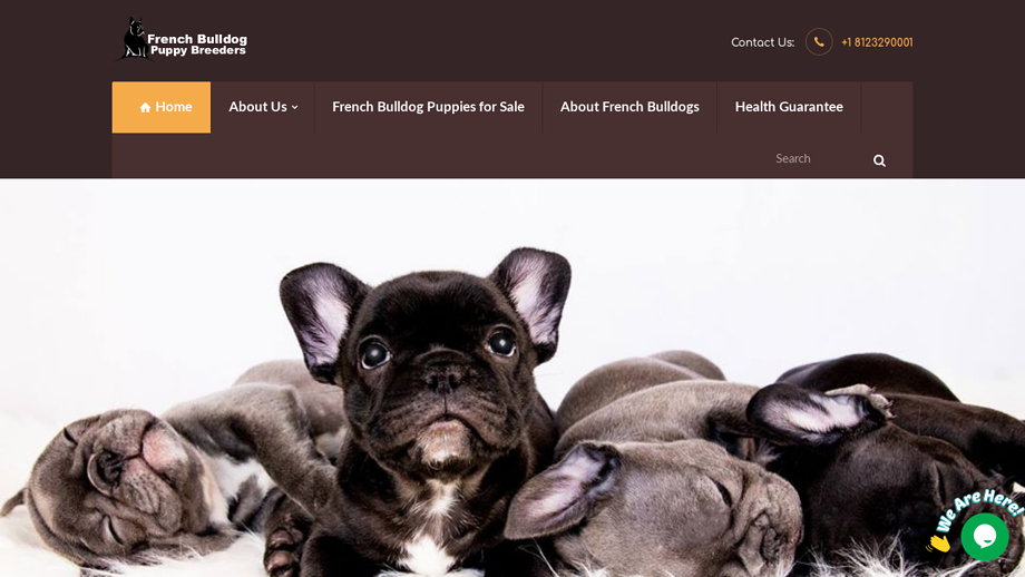 Frenchbulldogdogbreed.com - French Bulldog Puppy Scam Review