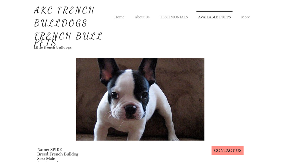 Frenchbullsbabies.com - French Bulldog Puppy Scam Review