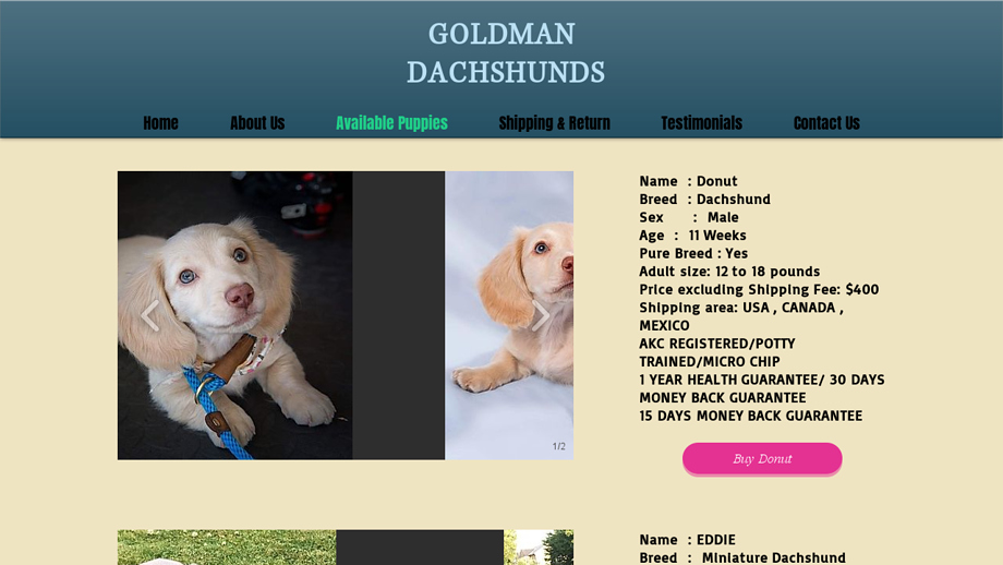 Goldmandachshunds.com - Dachshund Puppy Scam Review