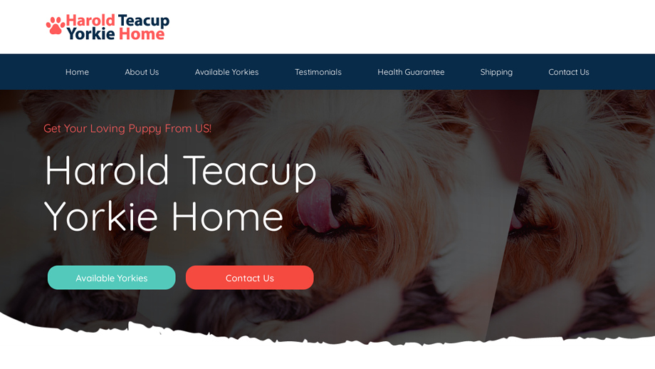 Haroldteacupyorkiehome.com - Yorkshire Terrier Puppy Scam Review