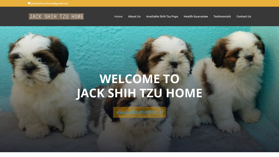 Jackshihtzuhome.com - Shihtzu Puppy Scam Review