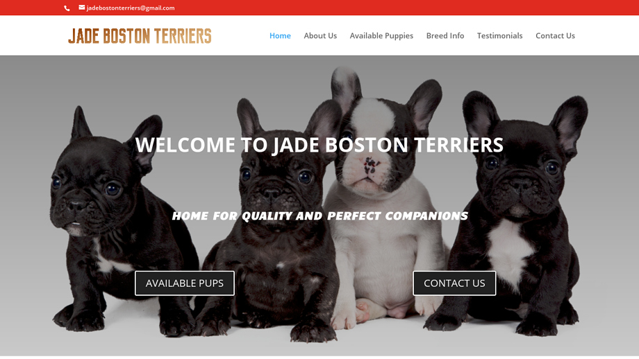 Jadebostonterriers.com - Boston Terrier Puppy Scam Review