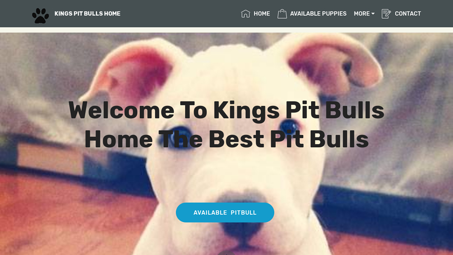 Kingspitbullshome.com - Pit Bull Puppy Scam Review