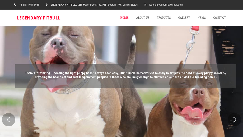 Legendarypitbullpuppies.com - Pit Bull Puppy Scam Review