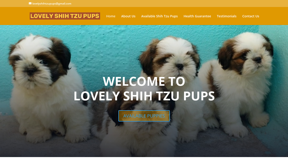 Lovelyshihtzupups.com - Shihtzu Puppy Scam Review