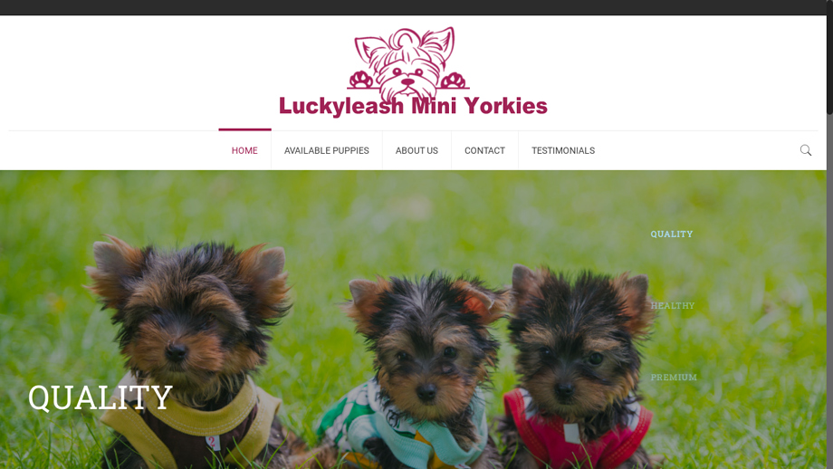 Luckyleashminiyorkies.com - Yorkshire Terrier Puppy Scam Review