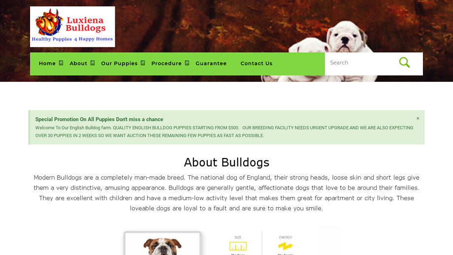 Luxienabull.com - Bulldog Puppy Scam Review