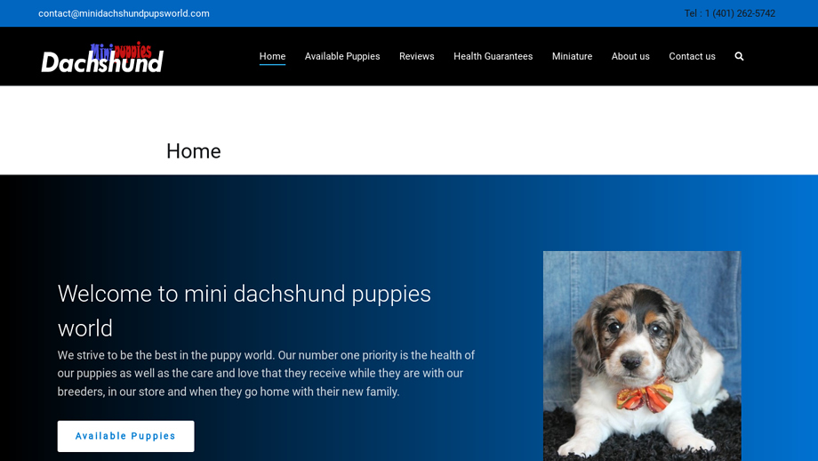 Minidachshundpupsworld.com - Dachshund Puppy Scam Review