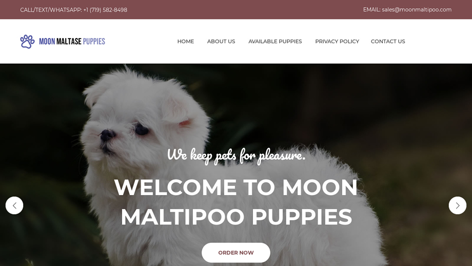 Moonmaltipoo.com - Maltese Puppy Scam Review