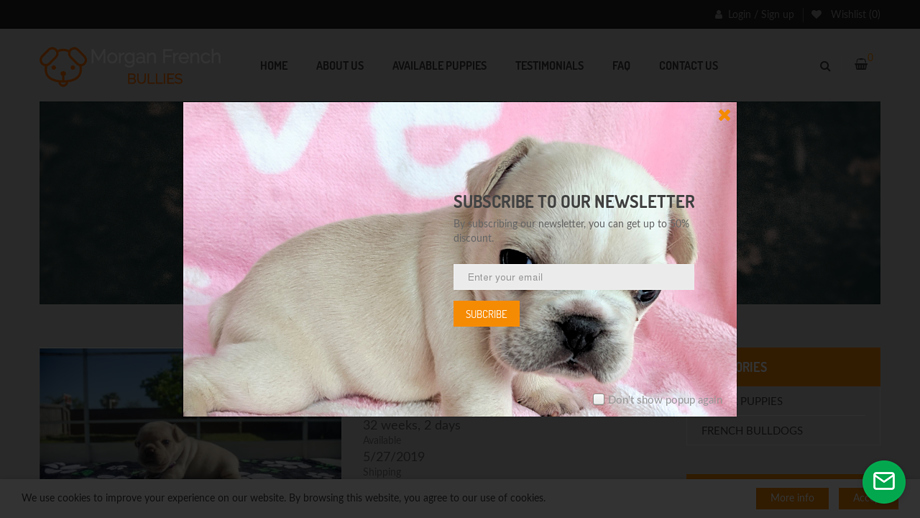 Morganfrenchbullies.com - French Bulldog Puppy Scam Review