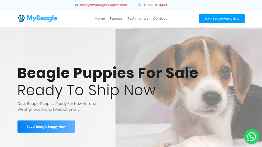 Mybeaglepuppies.com - Beagle Puppy Scam Review