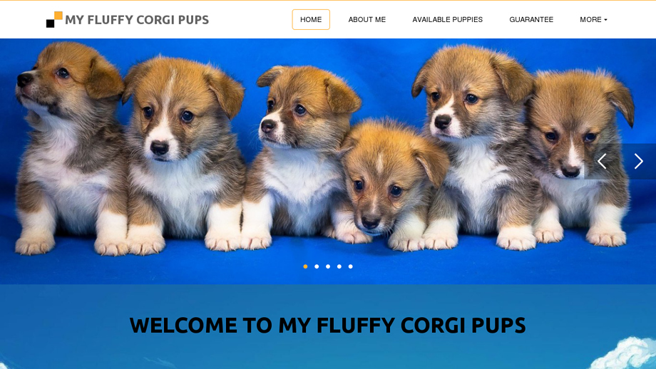 Myfluffycorgipups.com - Corgi Puppy Scam Review