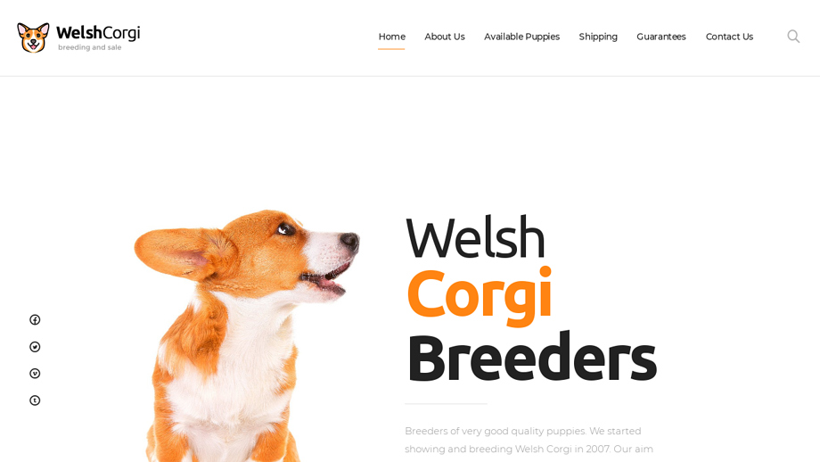 Ourcorgibabies.com - Corgi Puppy Scam Review