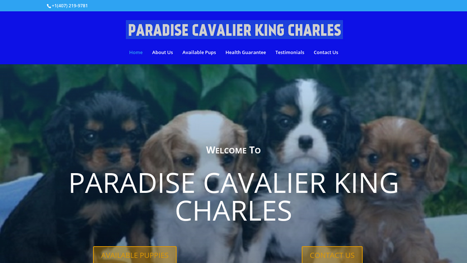 Paradisecavalierkingcharles.com - Cavalier King Charles Spaniel Puppy Scam Review