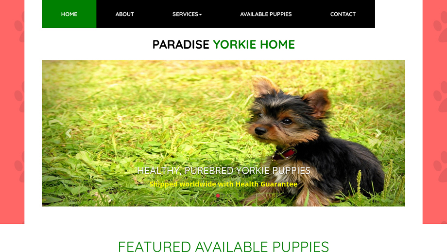 Paradiseyorkieshome.com - Yorkshire Terrier Puppy Scam Review