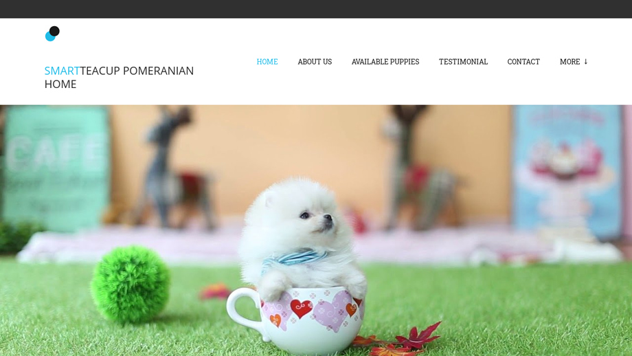 Perfectpomeranianhome.com - Pomeranian Puppy Scam Review