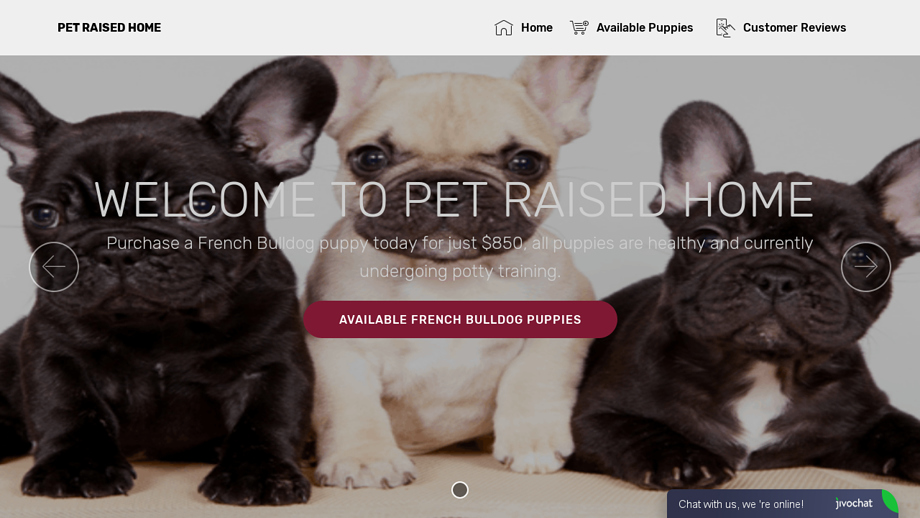 Petraisedhome.com - French Bulldog Puppy Scam Review