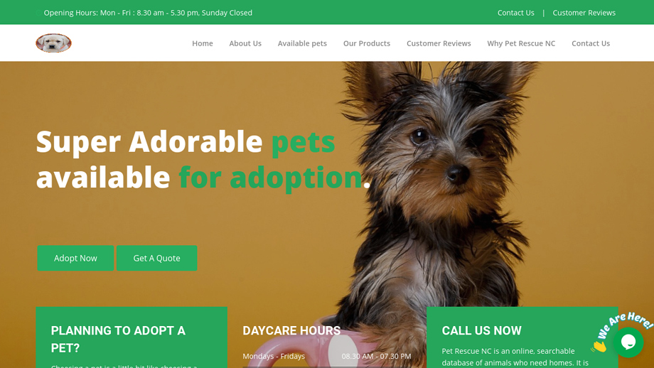 Petrescuenc.com - Yorkshire Terrier Puppy Scam Review