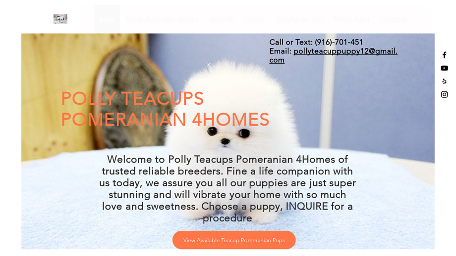 Pollyteacupspomeranian.com - Pomeranian Puppy Scam Review