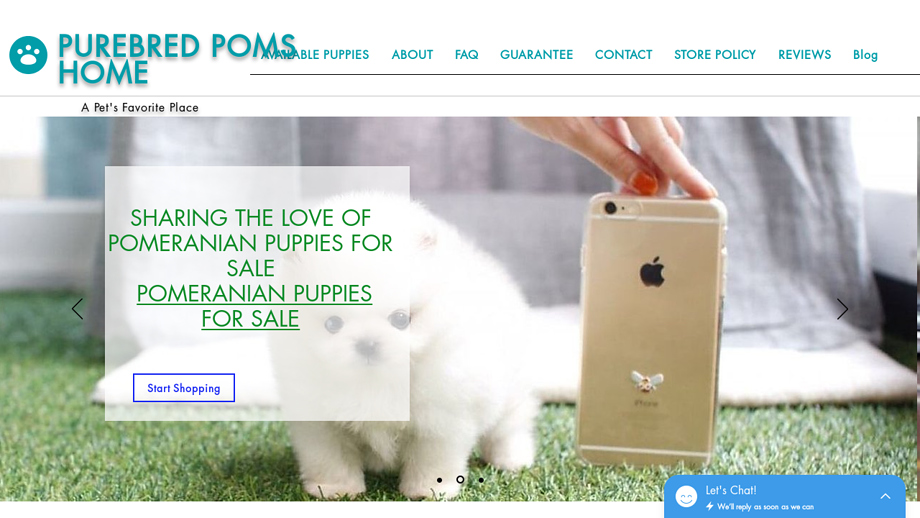 Pompuppies4sale.com - Pomeranian Puppy Scam Review