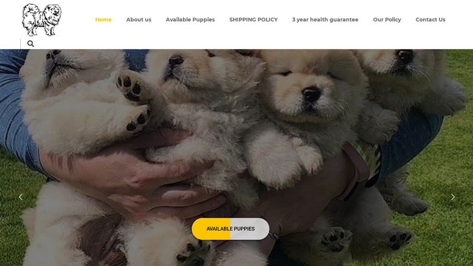 Premiumchowchows.com - Chowchow Puppy Scam Review