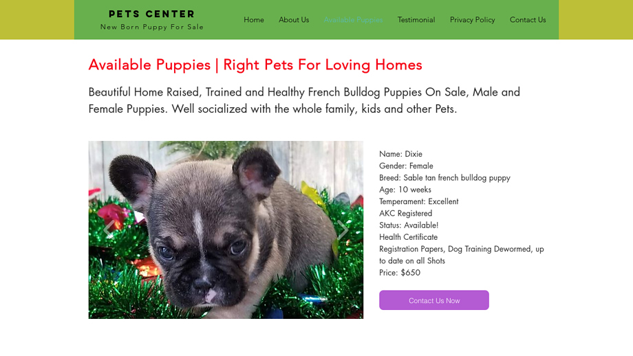 Puppymylife.com - French Bulldog Puppy Scam Review