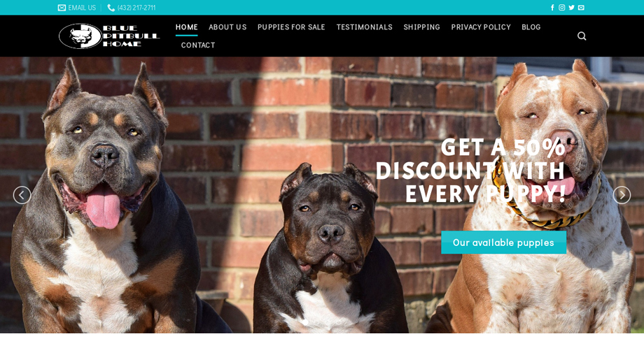 Purebredpitbullhaven.com - Pit Bull Puppy Scam Review