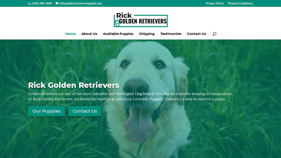 Rickgoldenretrievers.com - Golden Retriever Puppy Scam Review