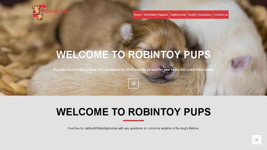 Robintoypups.com - Pomeranian Puppy Scam Review