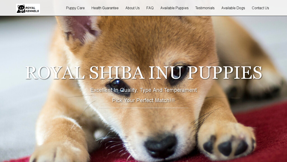 Royalshibainupups4sale.com - Shibhainu Puppy Scam Review