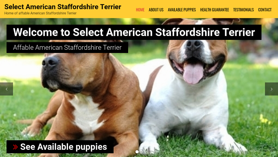 Selectamericanstaffordshireterrier.com - Terrier Puppy Scam Review