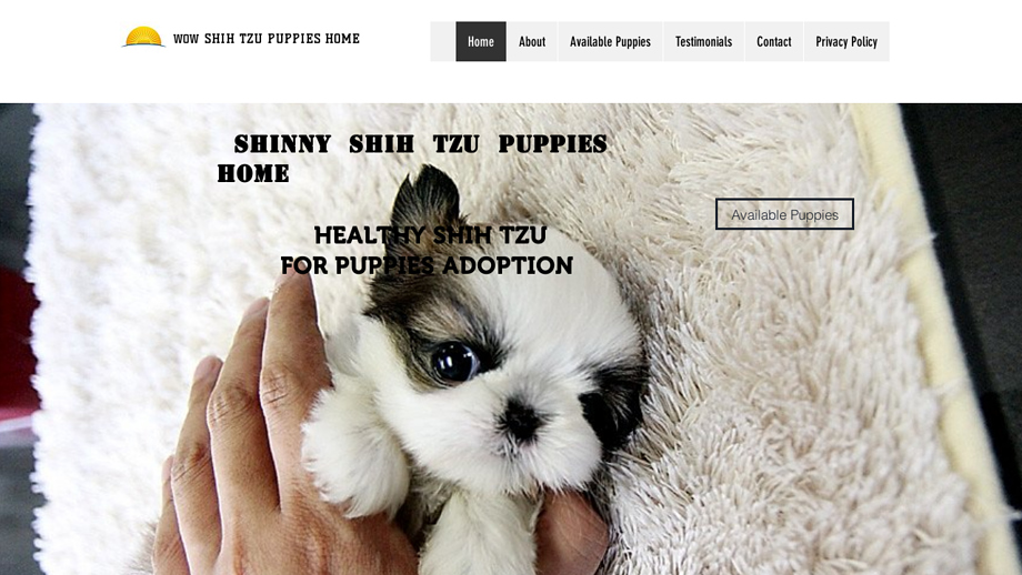 Shinyshihtzupuppies.com - Shihtzu Puppy Scam Review