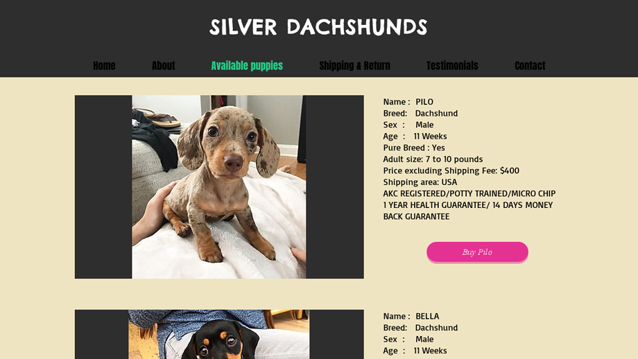 Silverdachshunds.com - Dachshund Puppy Scam Review