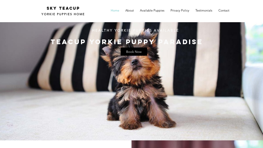 Skyteacupyorkiepups.com - Yorkshire Terrier Puppy Scam Review