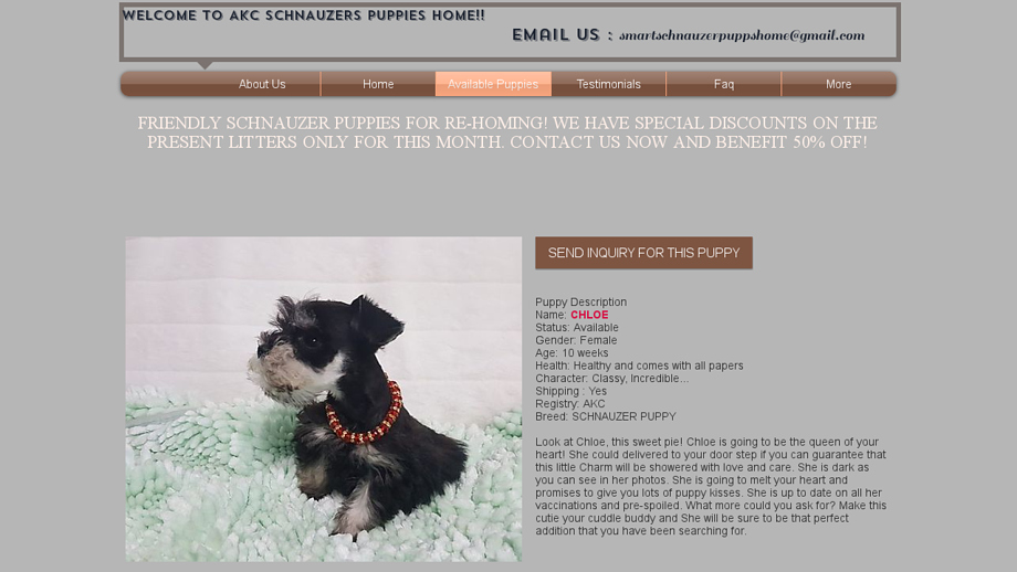 Smartschnauzerpuppies.com - Schnauzer Puppy Scam Review