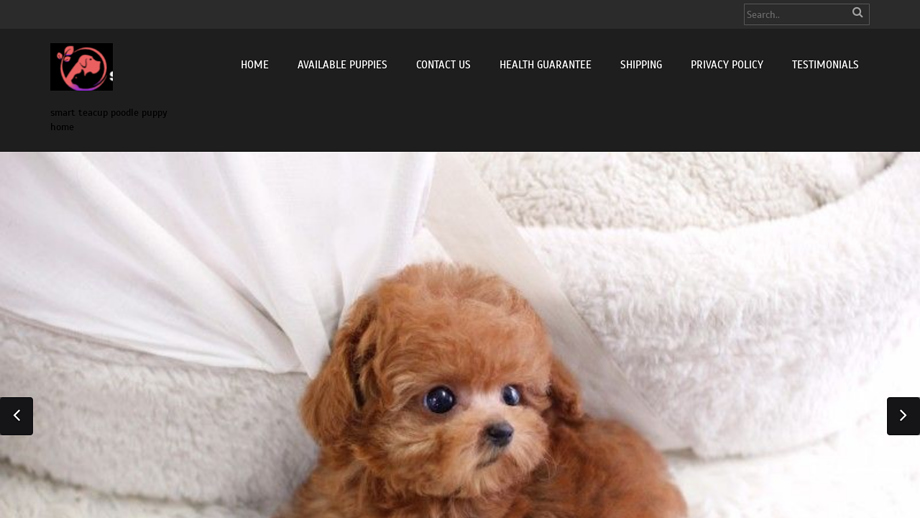 Smartteacuppoodlepuppyhome.com - Poodle Puppy Scam Review