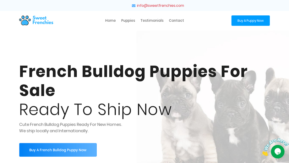 Sweetfrenchies.com - French Bulldog Puppy Scam Review