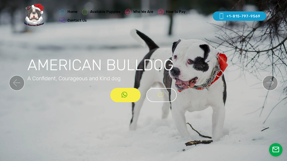 Theamericanbulldogs.com - Bulldog Puppy Scam Review