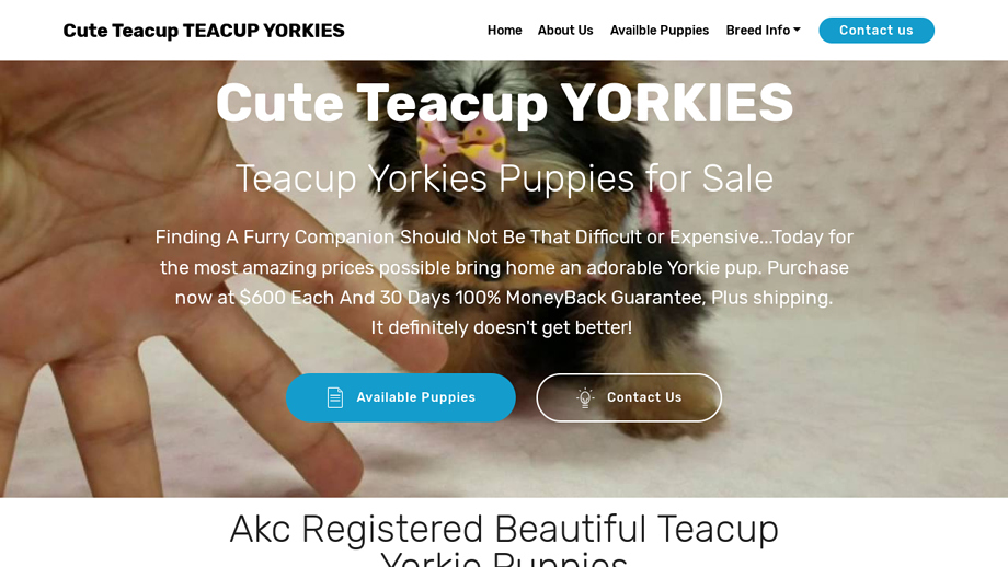 Theyorkshireterrier.info - Terrier Puppy Scam Review