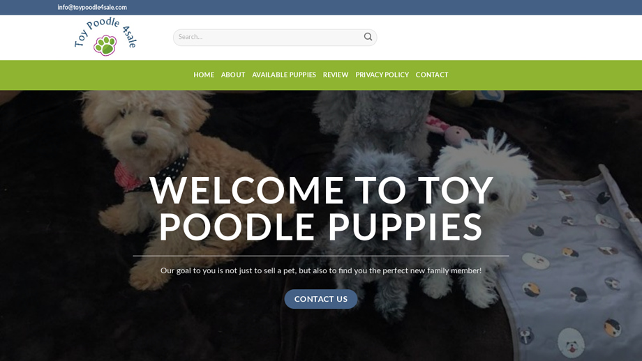 Toypoodle4sale.com - Poodle Puppy Scam Review