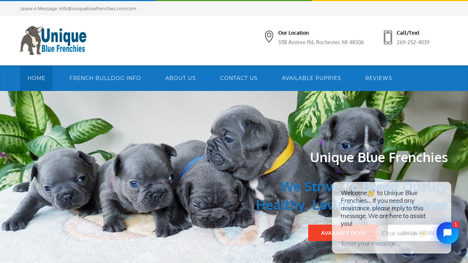 Uniquebluefrenchies.com - French Bulldog Puppy Scam Review