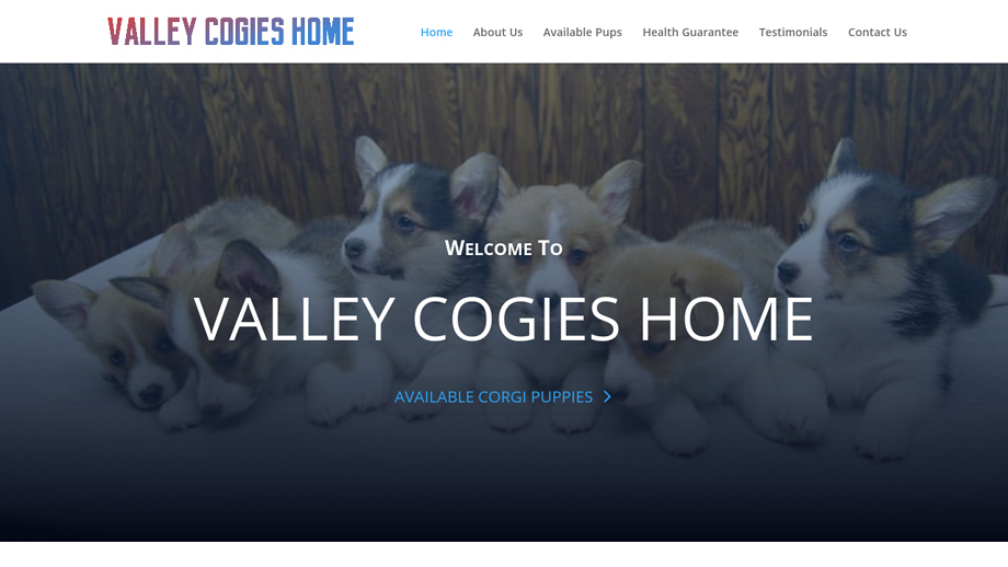 Valleycogies-home.com - Corgi Puppy Scam Review