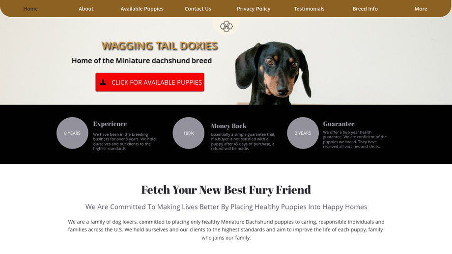 Waggingtaildoxies.com - Dachshund Puppy Scam Review