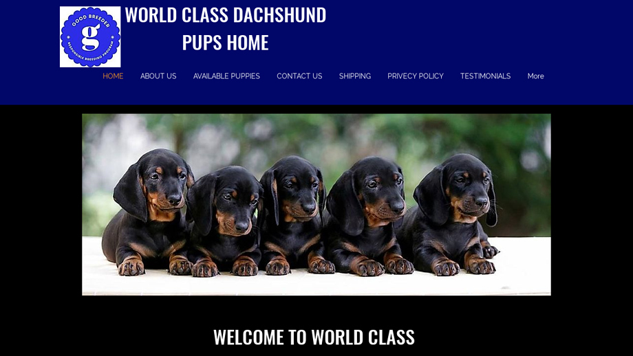 Worldclassdachshund.com - Dachshund Puppy Scam Review