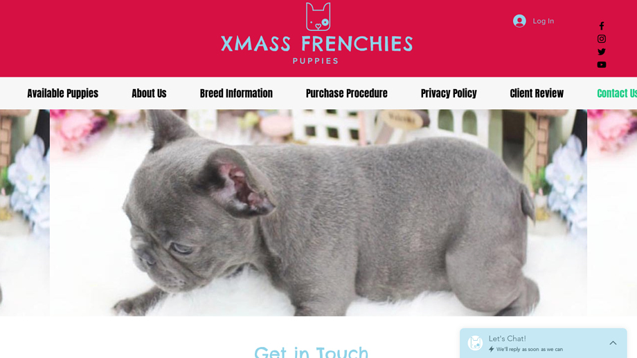 Xmassfrenchies.us - French Bulldog Puppy Scam Review