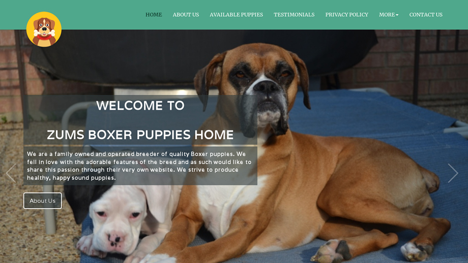 Zumsboxers.com - Boxer Puppy Scam Review