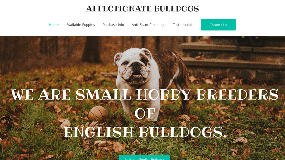 Affectionatebulldogs.com - Bulldog Puppy Scam Review